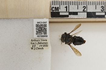 Media type: image;   Entomology 788898 Aspect: Labels